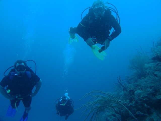 Grupos de buceo
